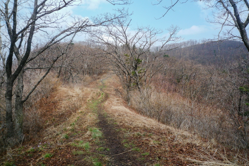 마늘로드 한국산 경기 가평 명산 연인산 등산 mountain hikingng