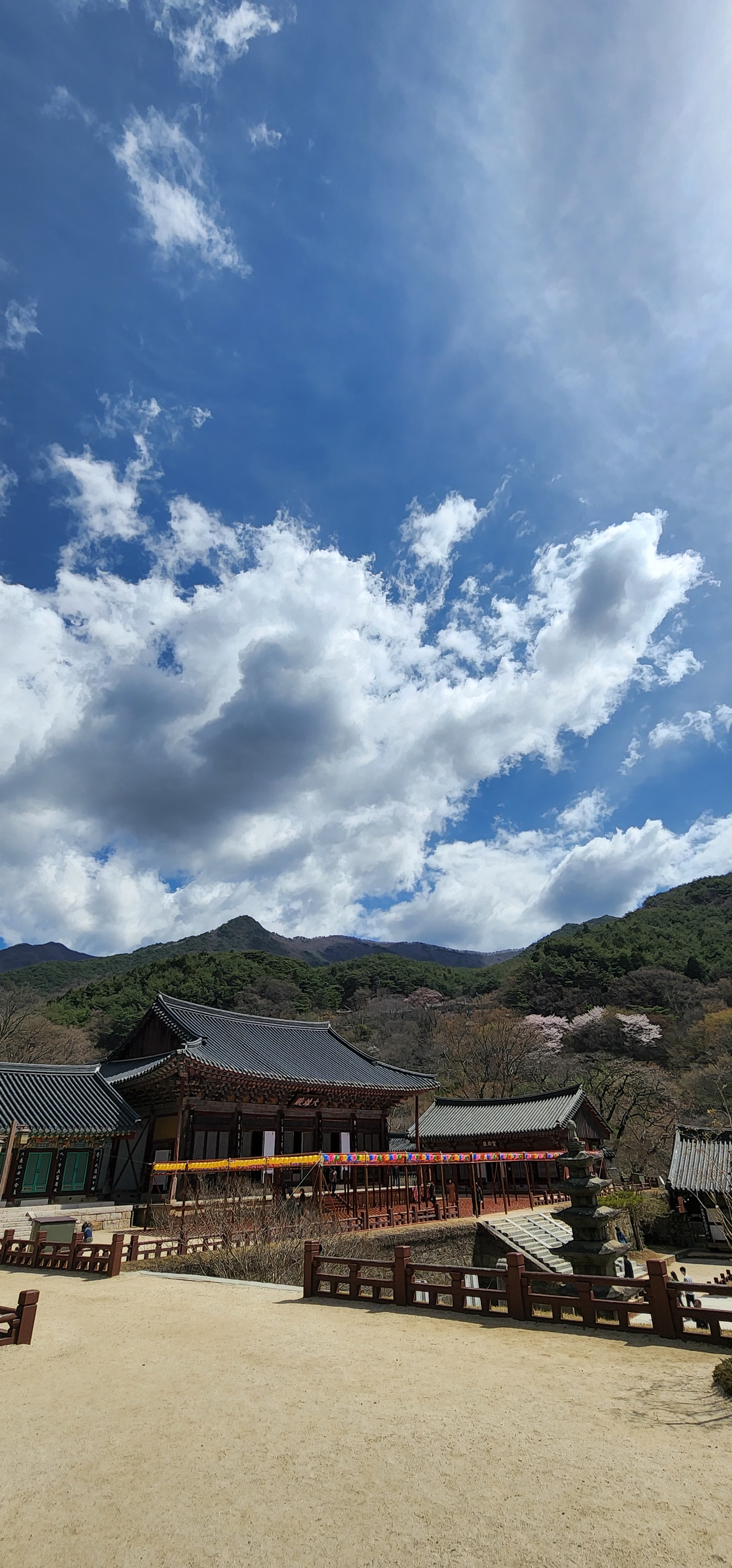  구례 화엄사의 봄