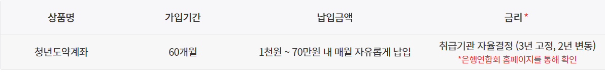 청년도약계좌 사진