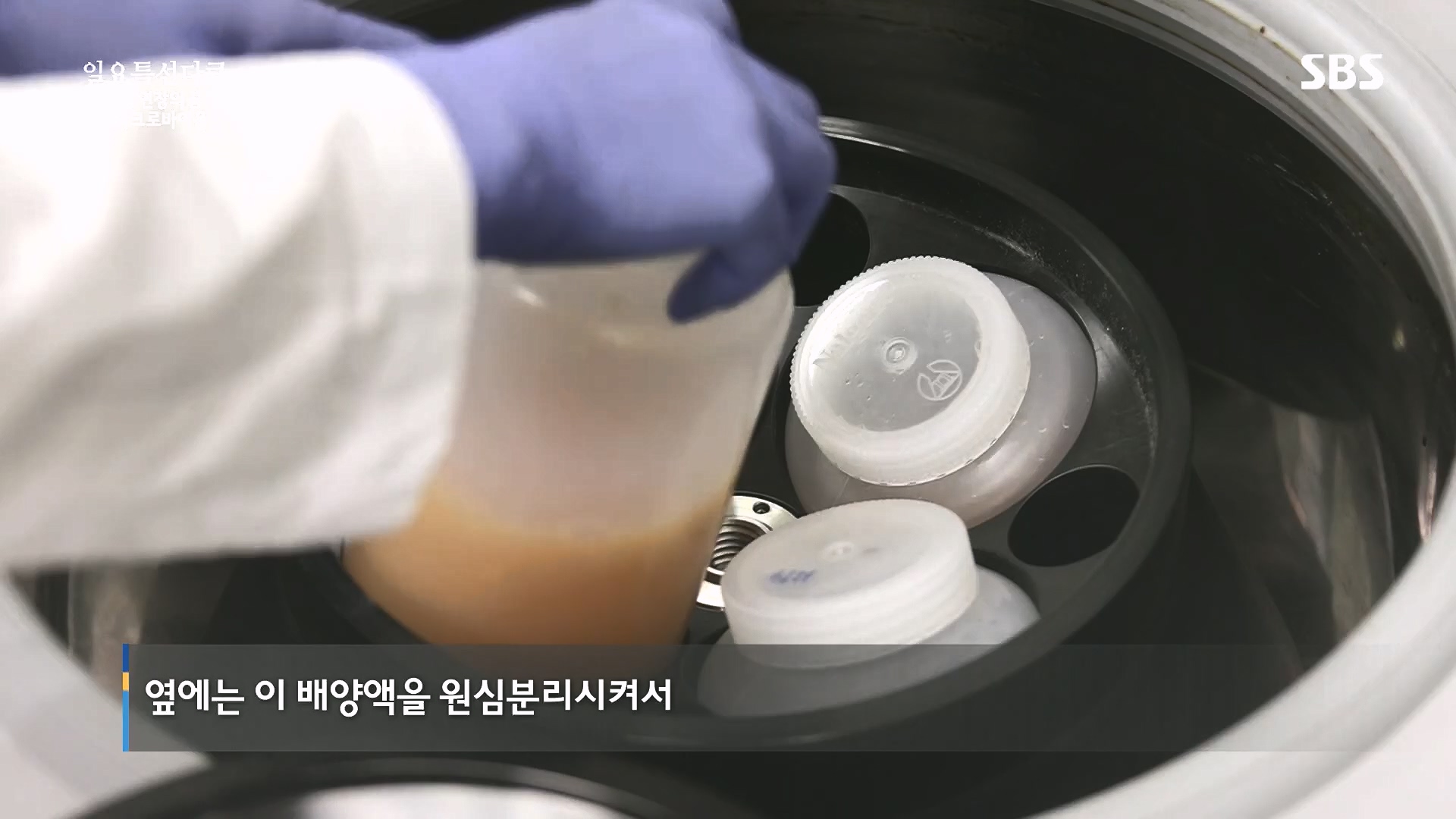 일요 특선 다큐멘터리.E318.230903p.H264-F1RST.mp4_20230907_204913.408.jpg