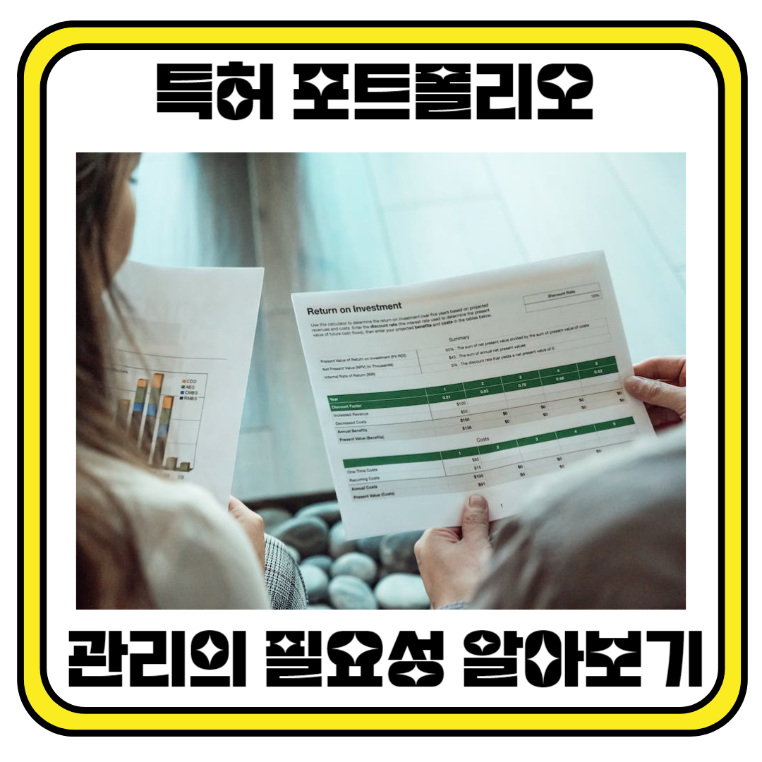 특허 포트폴리오 관리의 필요성