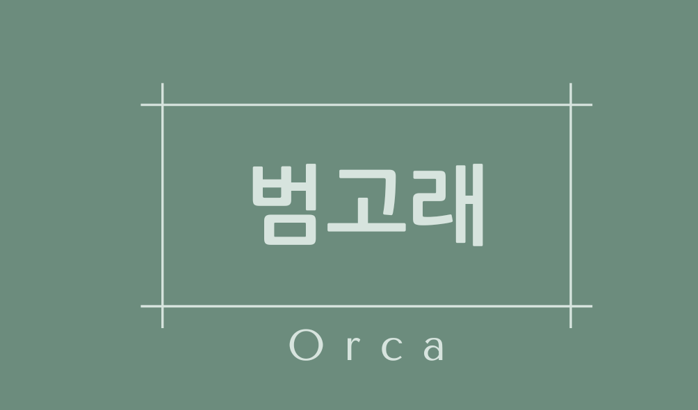 범고래(Orca)