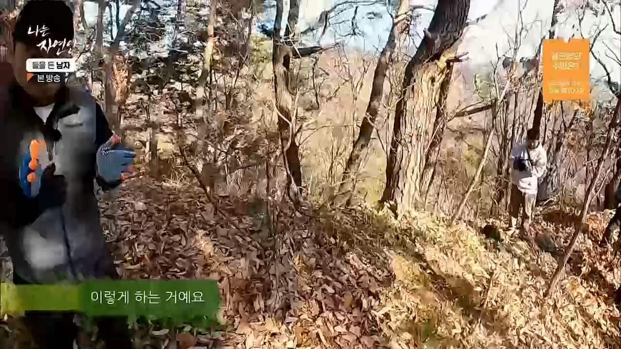 나는 자연인이다.E532.221215p.H264-F1RST.mp4_20221215_194314.238.jpg