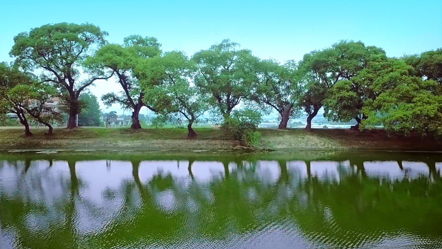 경북