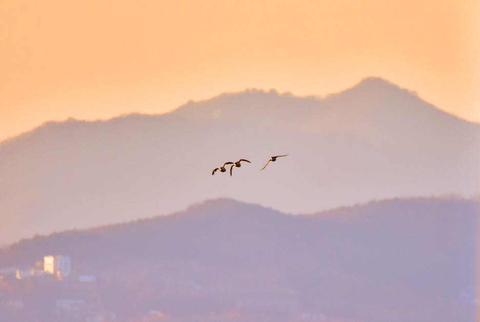 전야제 이미지