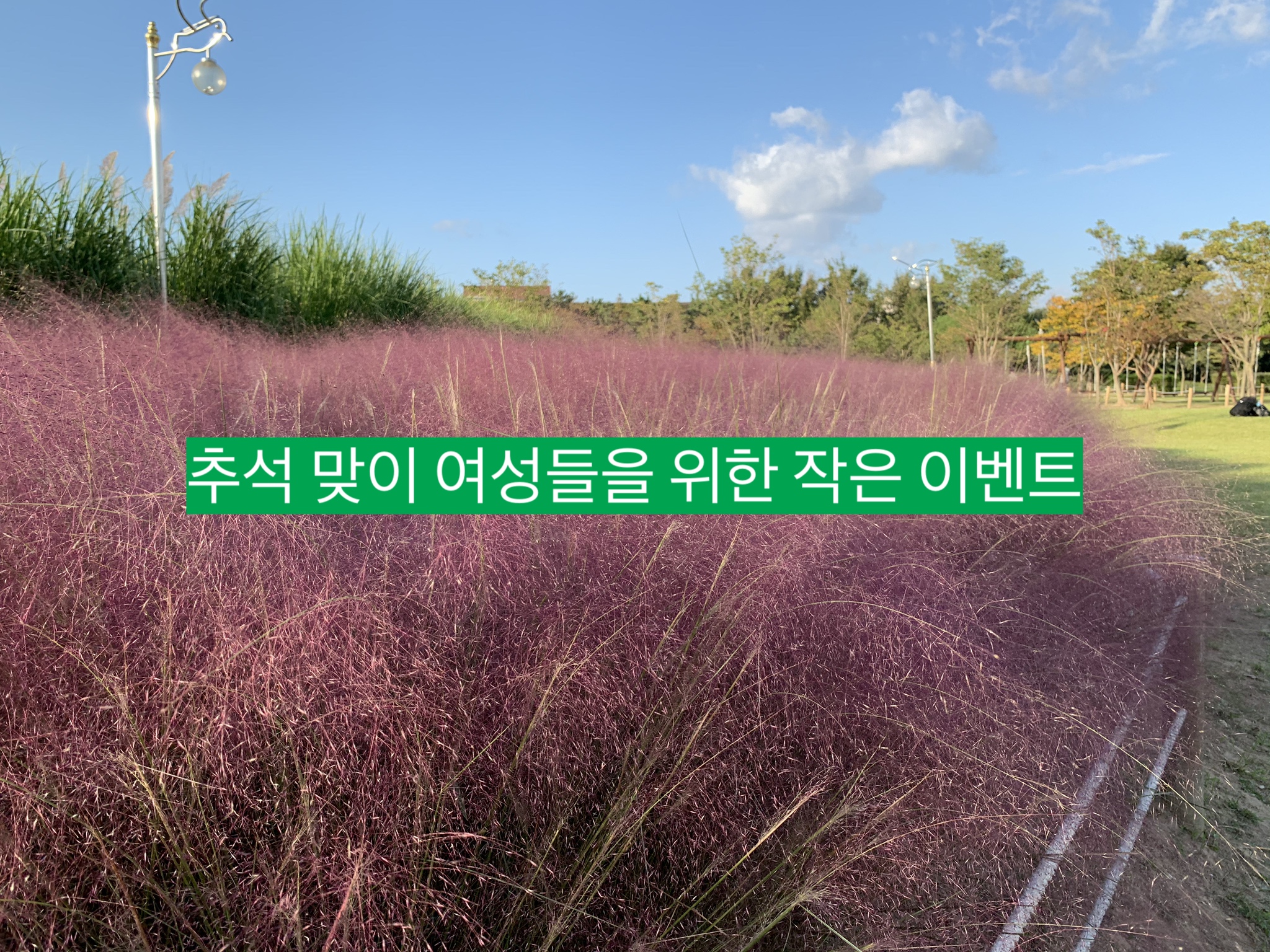  추석 맞이 10+5할인 이벤트 남자가 추천하는 데이트할 때 입기 좋은 여자 옷 오늘은 추석이벤트다!
