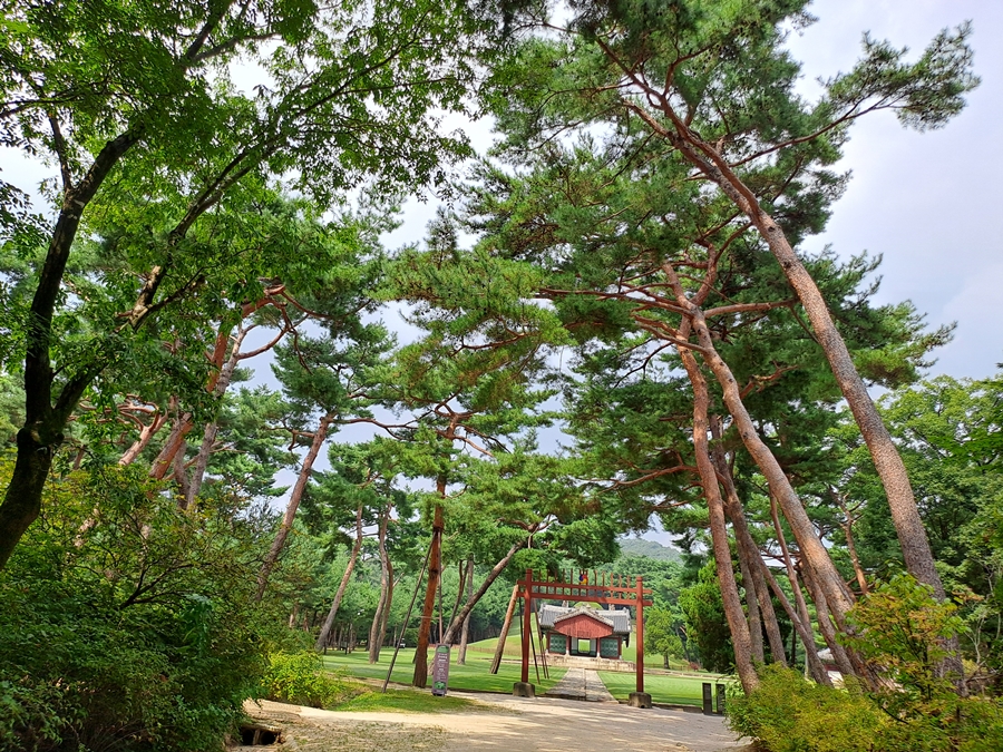 홍살문_01