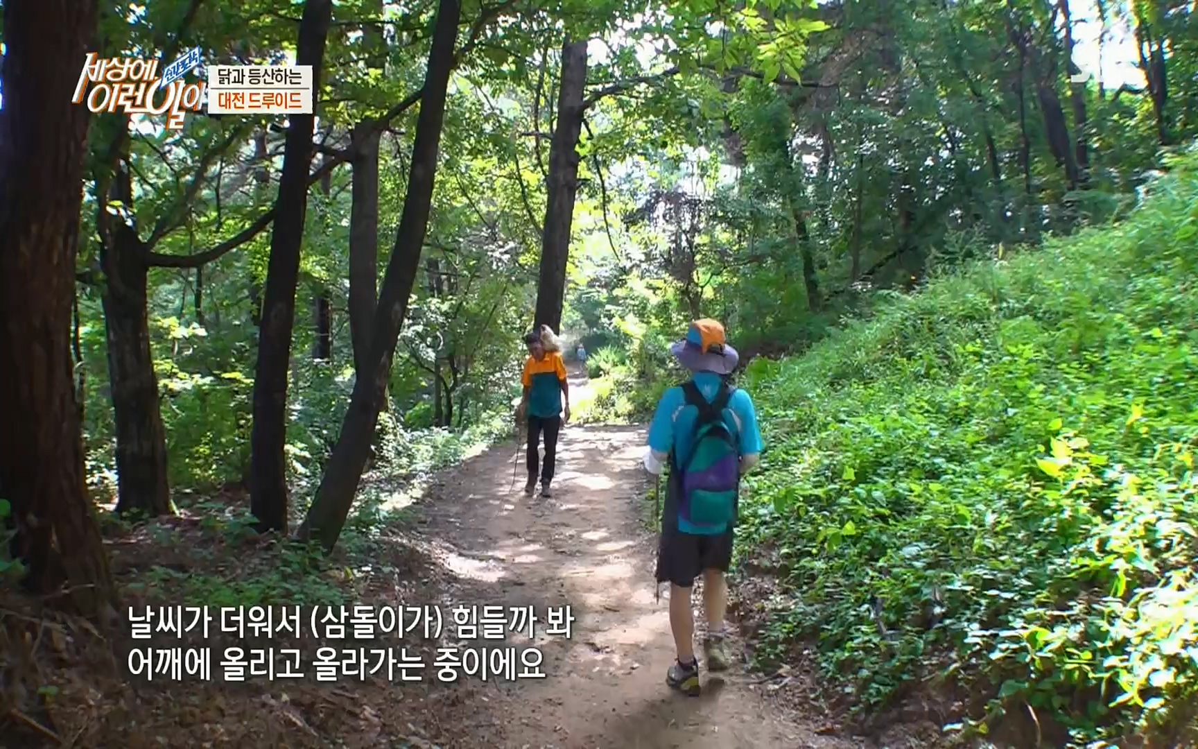 순간포착 세상에 이런일이.E1196.220906p.H264-F1RST.mp4_20220907_203321.687.jpg