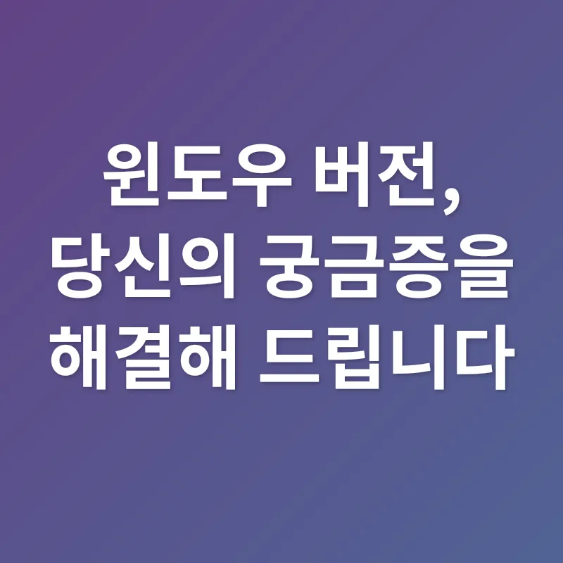 윈도우 버전 선택_4
