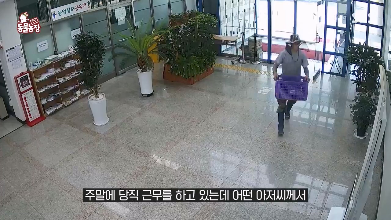 TV 동물농장.E1131.230731p-NEXT.mp4_20230730_190945.399.jpg