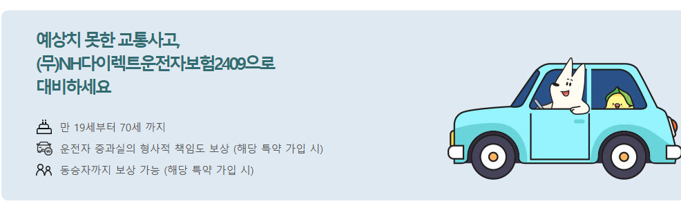 농협손해보험 다이렉트 운전자보험