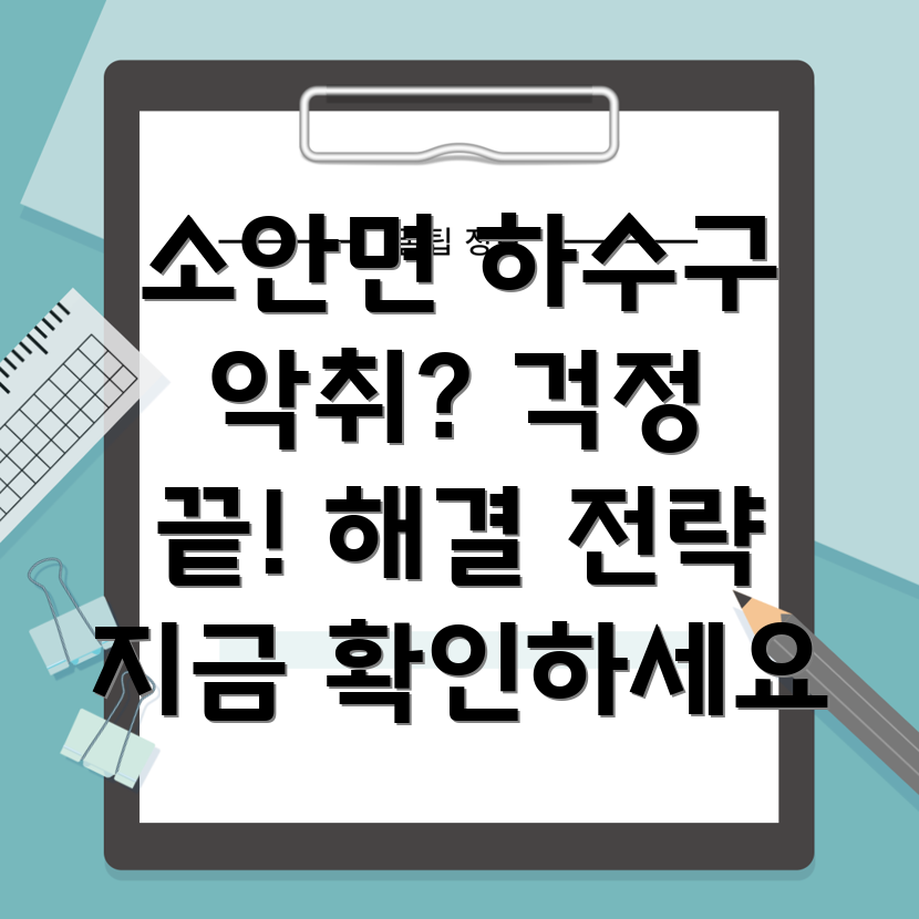 완도군 소안면 하수구 악취