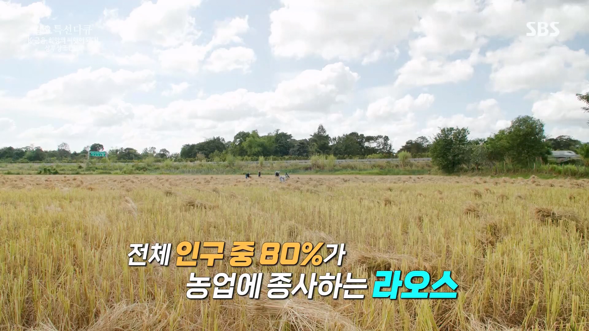 일요 특선 다큐멘터리.E332.231217p.H264-F1RST.mp4_20231217_202157.408.jpg