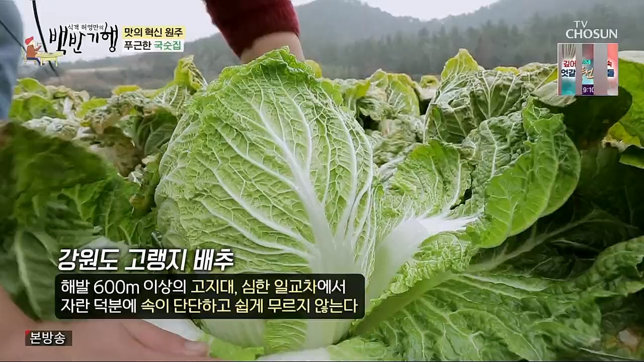 식객 허영만의 백반기행.E188.230211p.H264-F1RST.mp4_20230211_172609.492.jpg