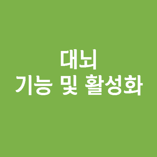  대뇌 기능 및 활성화 방법
