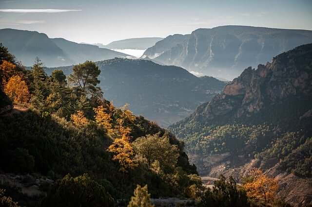 곰배령