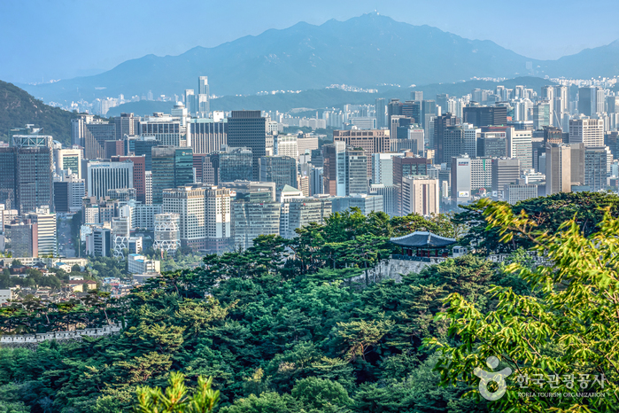 서울주단 이미지