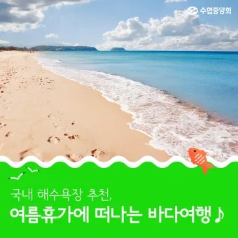 여름 국내 여행지 추천 베스트 모음 완벽 가이드북_6