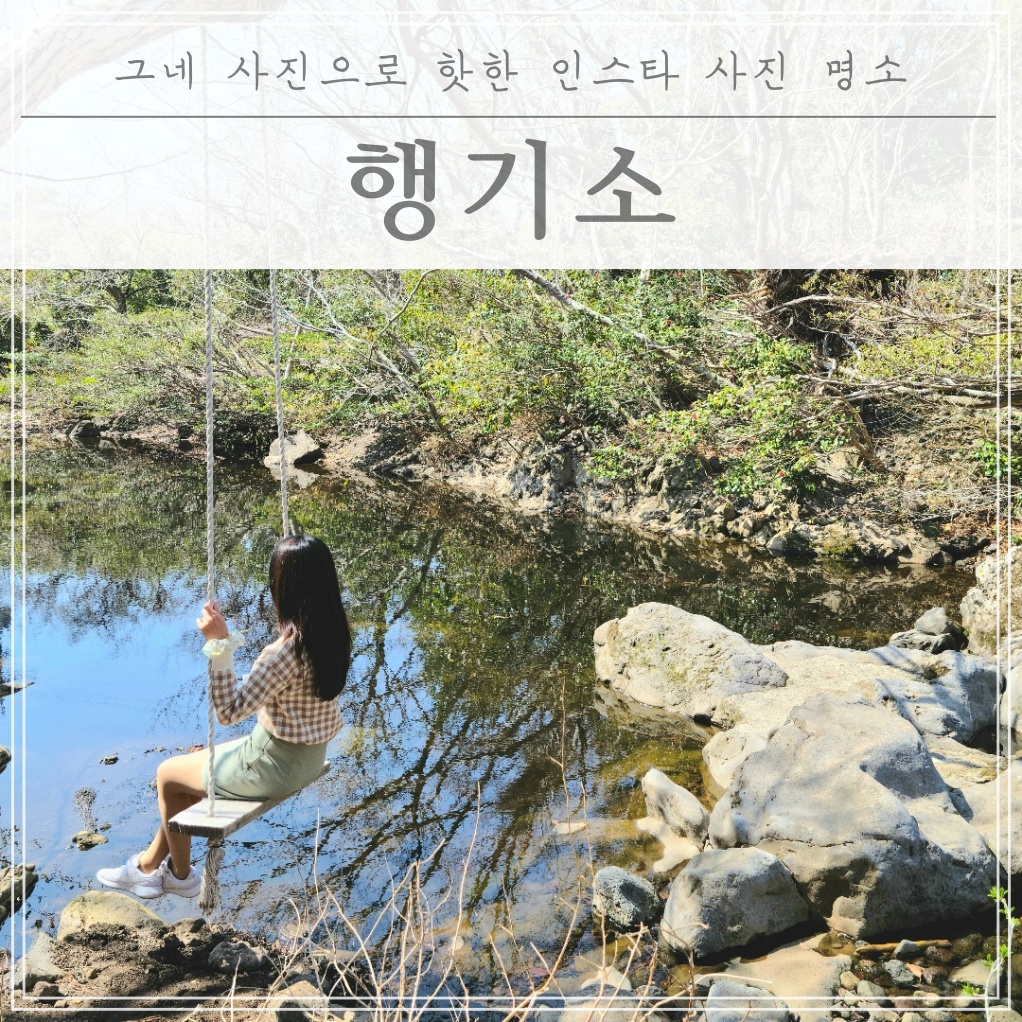  요즘 유행하는 제주도 그네 사진 명소!! 행기소