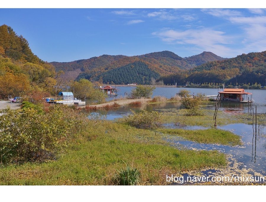 단풍구경 가볼만한 곳 괴산 가볼만한곳 19