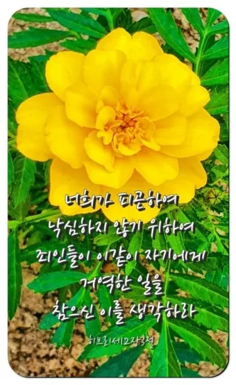 히브리서 3장 하느님의 성경 묵상_22