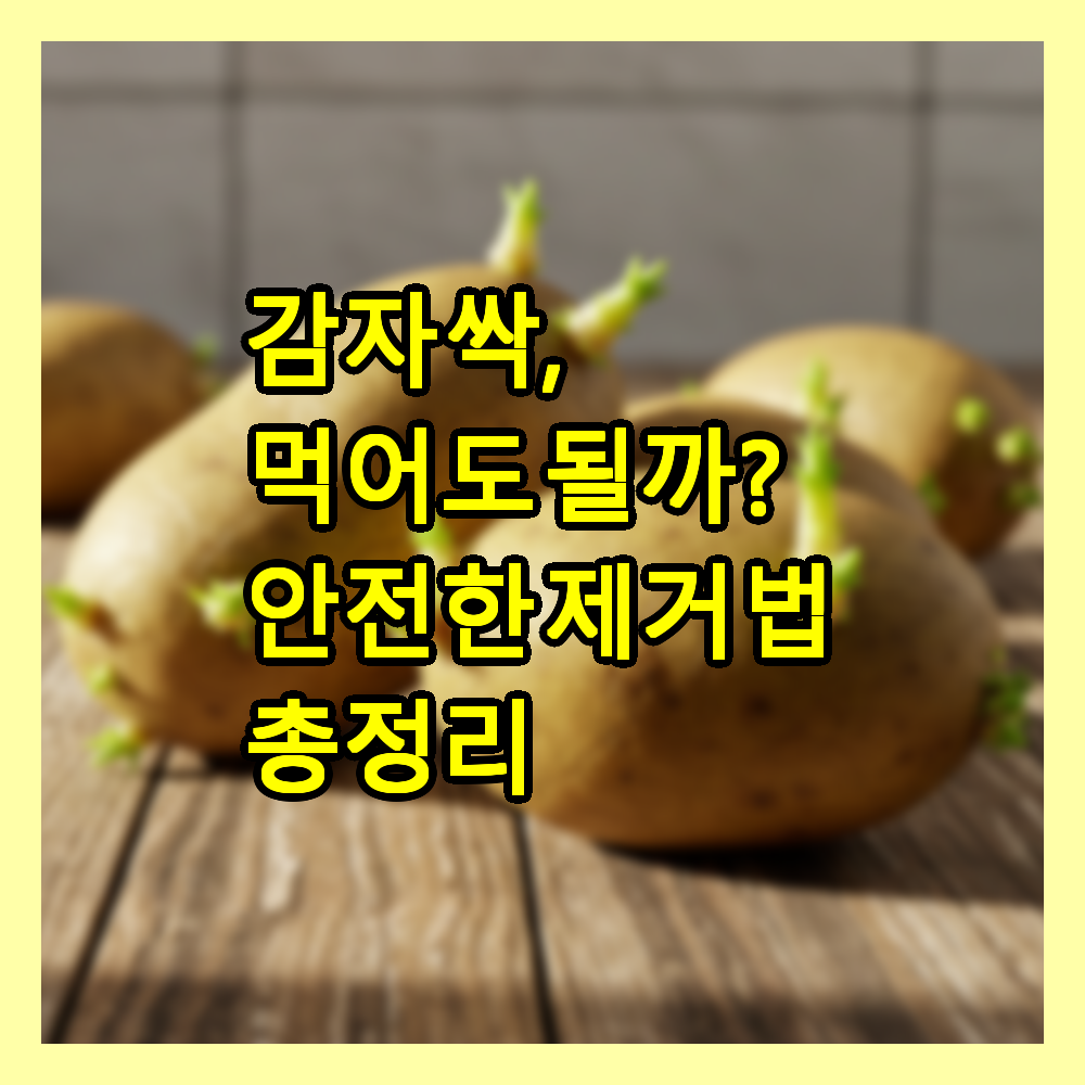 감자 싹, 먹어도 될까? 안전한 제거법 총정리