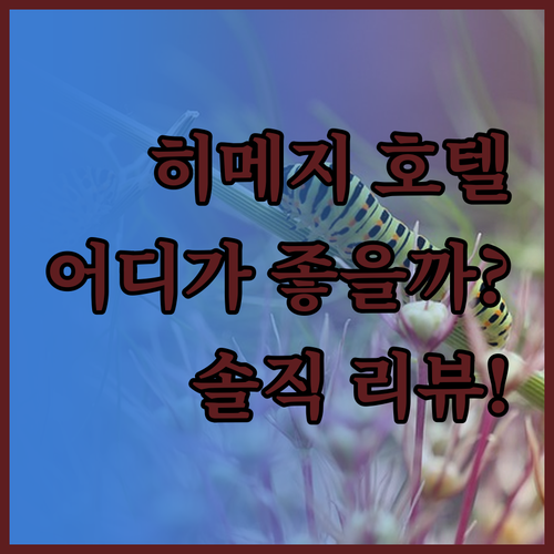히메지 호텔 어디가 좋을까? 내돈내산