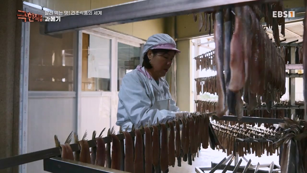 TV - 전 국민의 평생학교 EBS말려 먹는 맛! 건조식품의 세계.mp4_20231125_190721.038.jpg