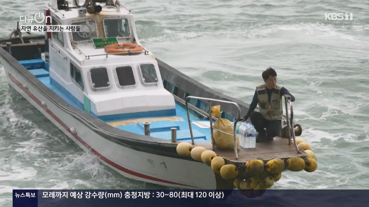 다큐 온.E206.230723p-NEXT.mp4_20230724_214224.501.jpg
