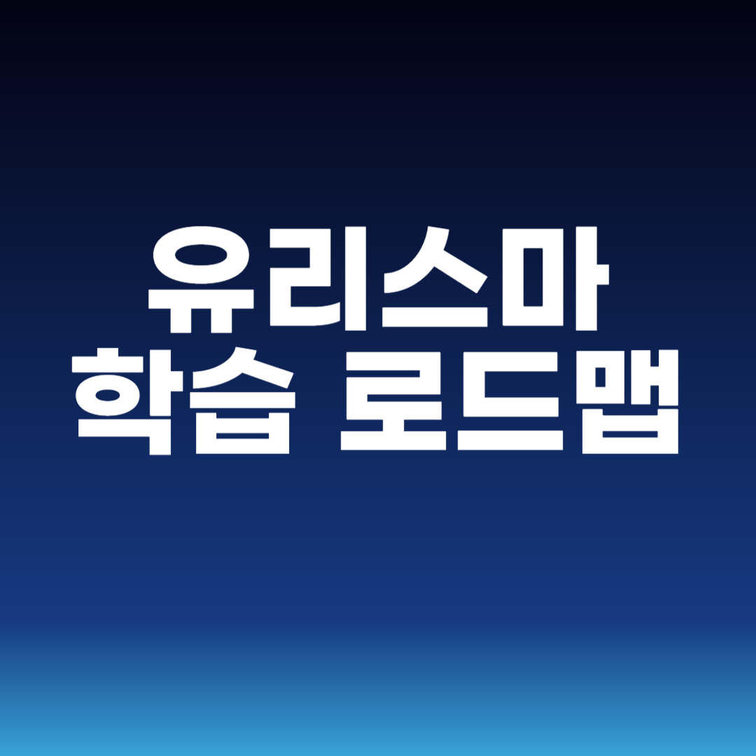 유리스마 학습 로드맵