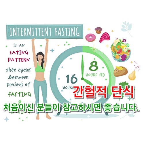 간헐적 단식 처음이신 분들이 참고하시면 좋습니다.