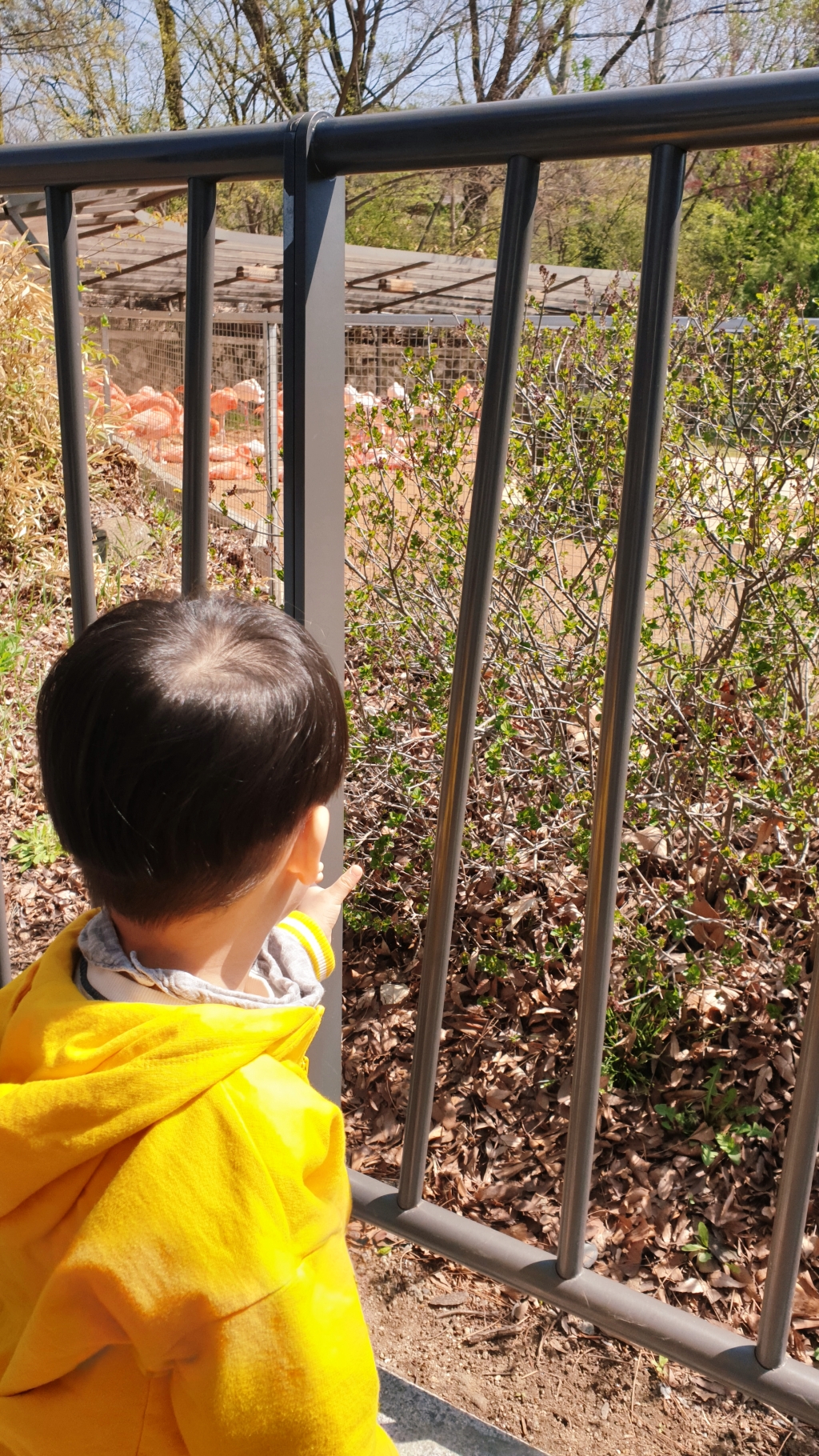 서울 대공원 나들이&amp;#44; 아이 덕분에 처음 가보게 되었다!