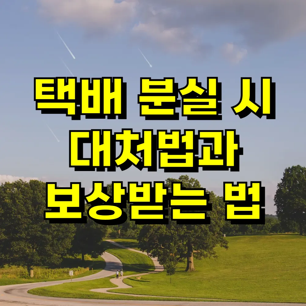 택배 분실 시 대처법과 보상받는 법