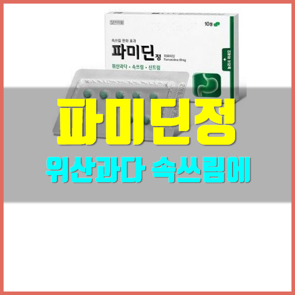  파미딘정 효능 부작용