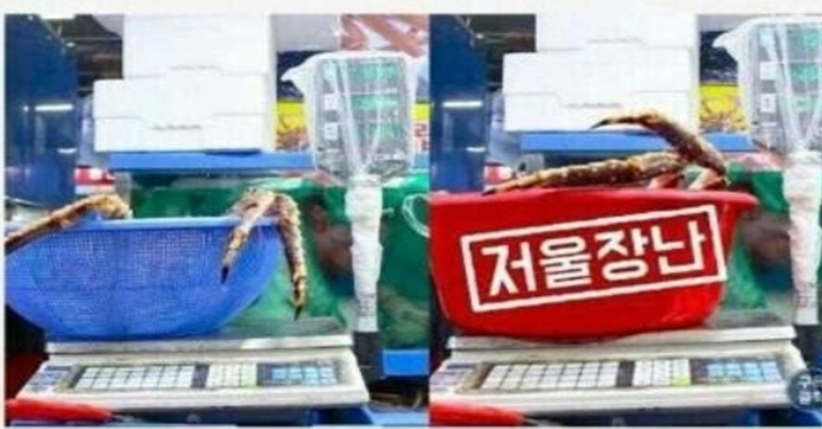  꼭 알아야 할, 수산시장에서 바가지 안 뜯기는 법