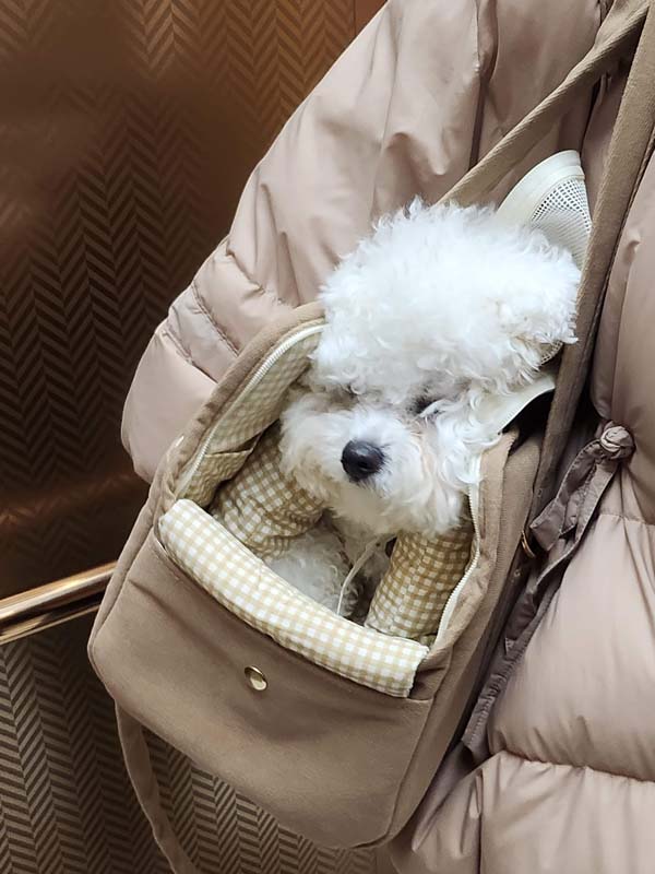 속초여행_망고4