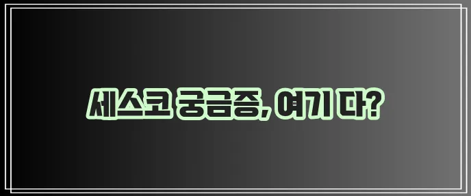 세스코 답변 궁금증을 모두 모았습니다!