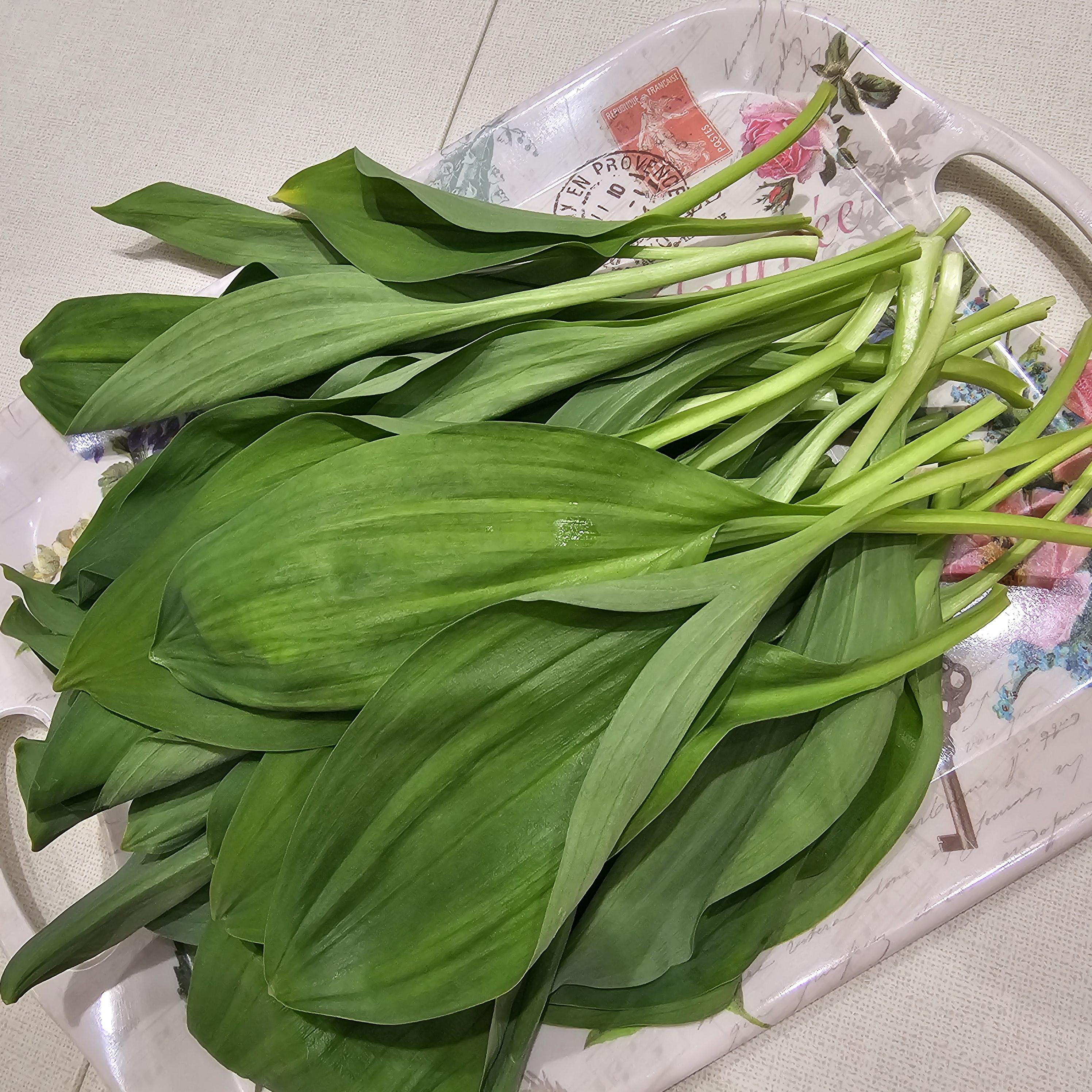  산마늘(명이) 제철, 보관 및 영양성분, 요리법 자세히 알아보기