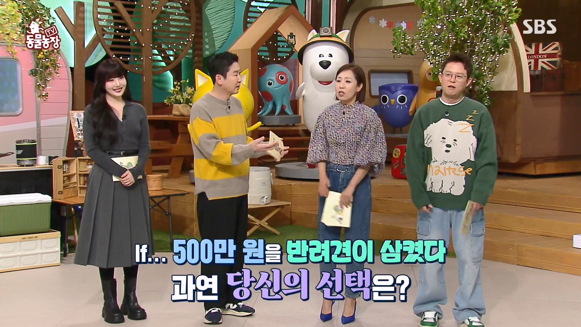 TV 동물농장.E1157.240204p-NEXT.mp4_20240204_172344.289.jpg