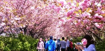 전주 완산칠봉 꽃동산 등산로 벙커 코스_3