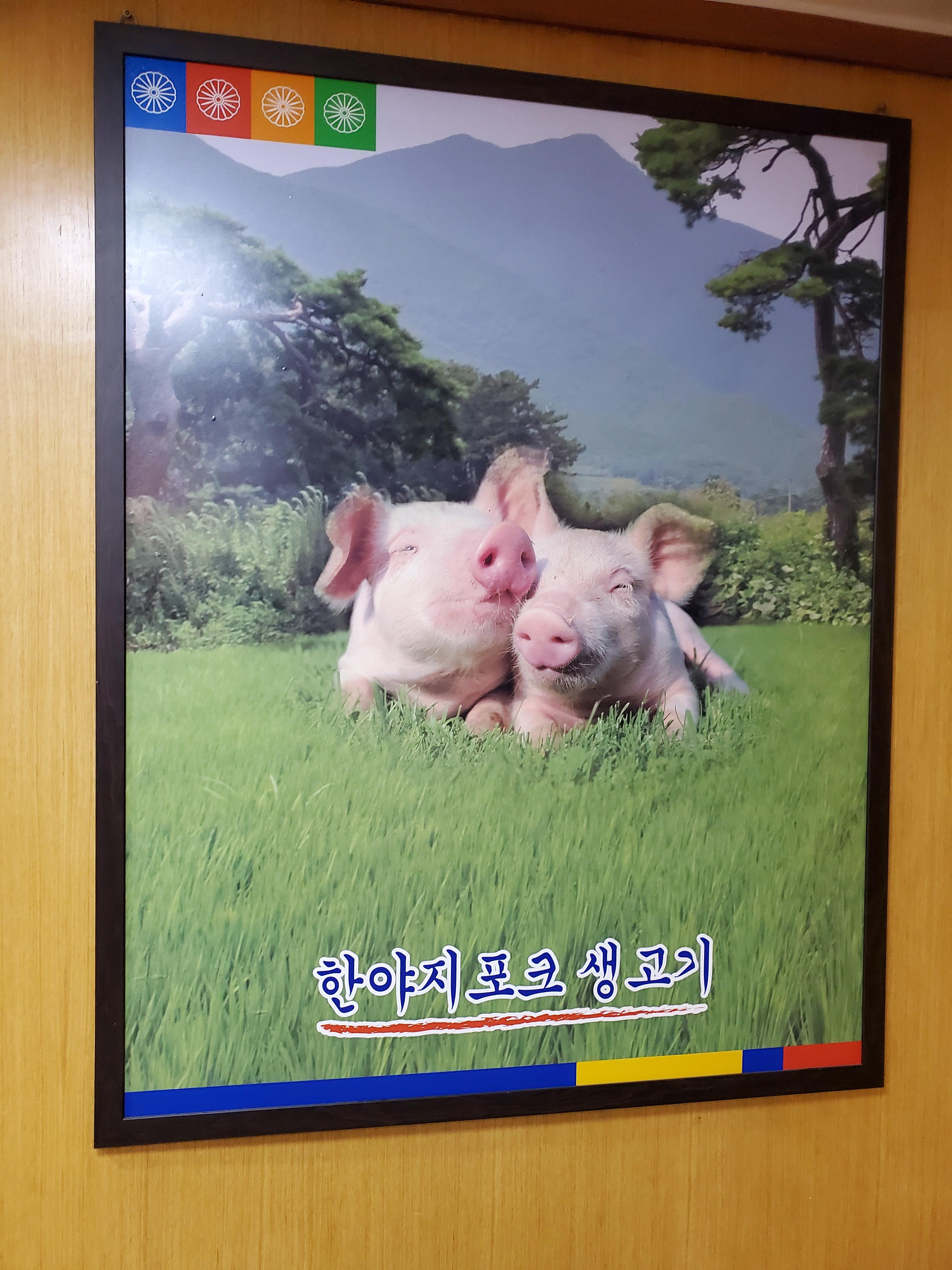  여의도 삼겹살집 / 여의도 한야지포크 / 여의도 돼지껍데기 한야지포크에 다녀오다. 뭐? 돼지껍데기가 서비스???????????