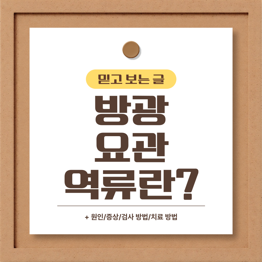  방광요관 역류란?