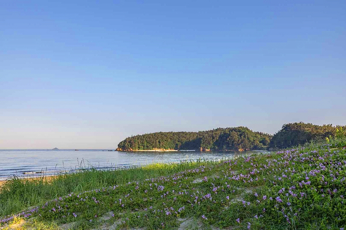 태안 장삼포해수욕장