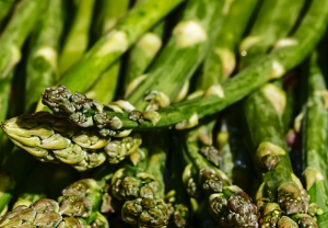 아스파라거스(Asparagus) 효능 및 먹는 방법