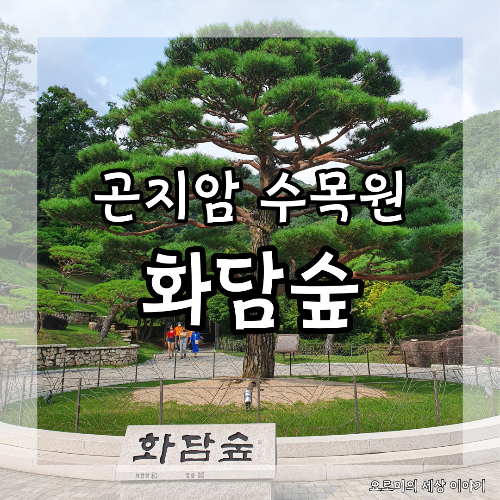  곤지암 화담숲 아이들과 가볼만한 곳, 근교 광주 수목원