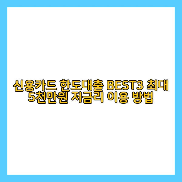 신용카드 한도대출