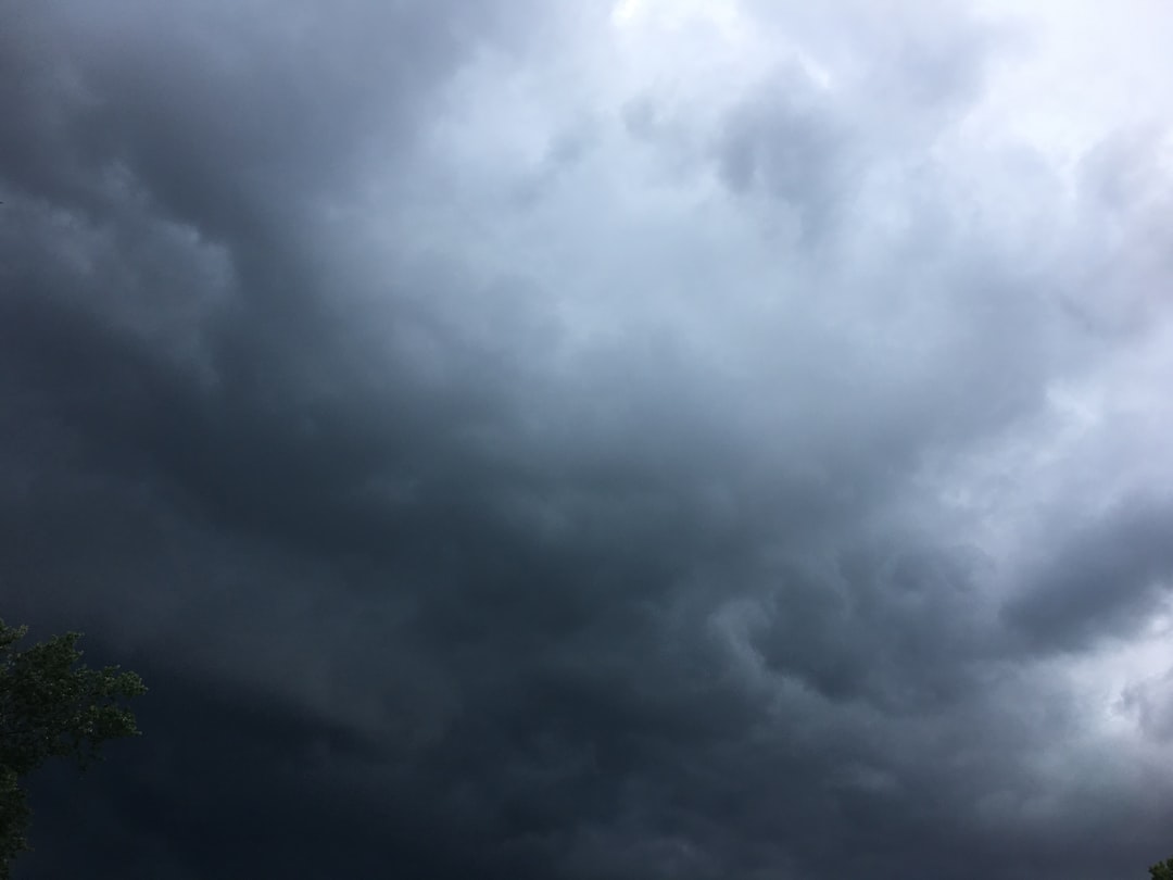 Forecast