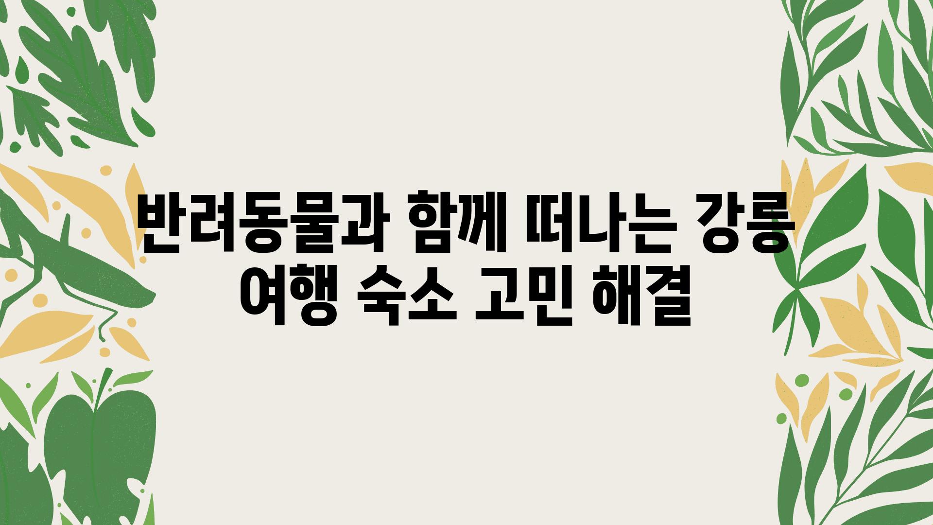 반려동물과 함께 떠나는 강릉 여행 숙소 고민 해결