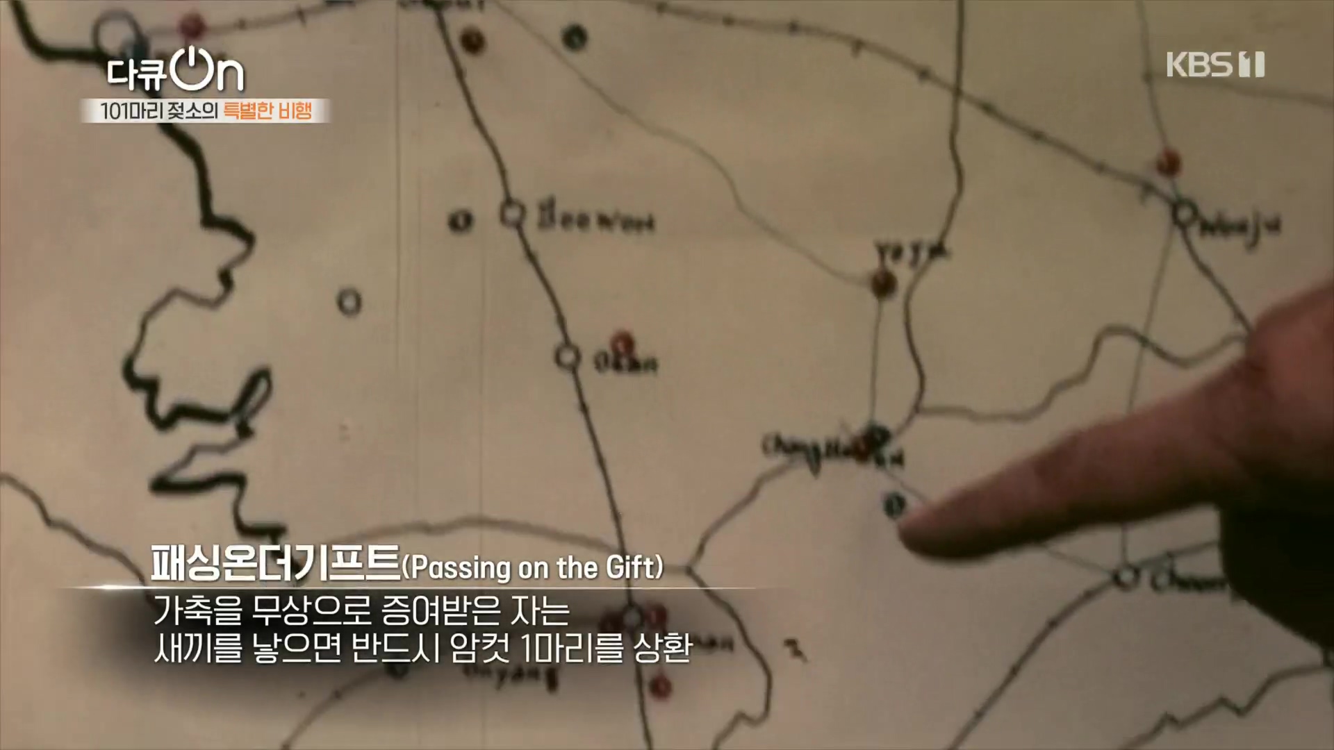 다큐 On.E184.230203p.H264-F1RST.mp4_20230211_174006.134.jpg