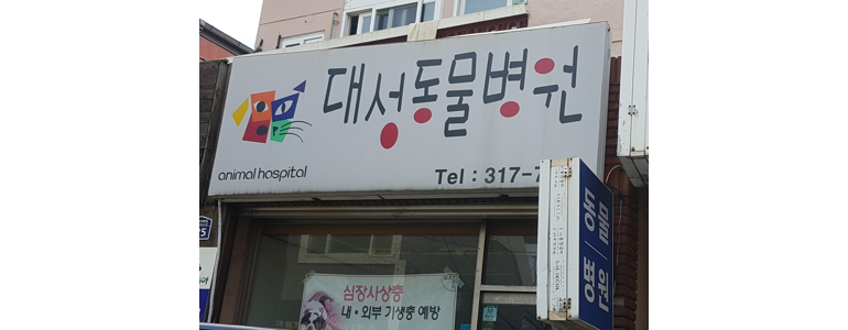 부산 사상구 동물병원